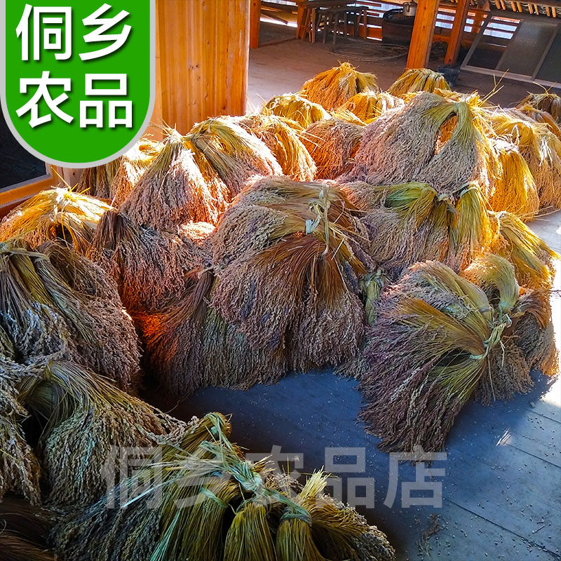 贵州糯米从江香禾糯