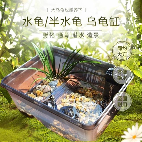 大空间赠送大礼包乌龟爬宠缸