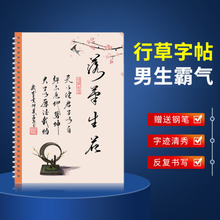 行草书法字帖练字成年男凹槽练字本手写体行书大学生女生漂亮字体霸气行书练习写字贴21天速成练字神器行楷临摹钢笔成人硬笔练字帖