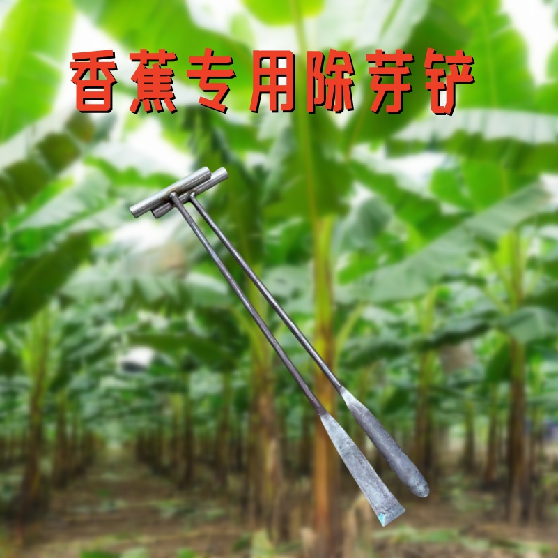 手工锻打加厚香蕉除芽铲