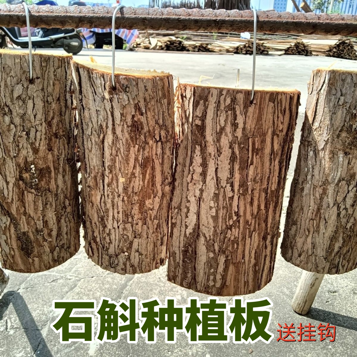 杉木板石斛种植板蝴蝶兰