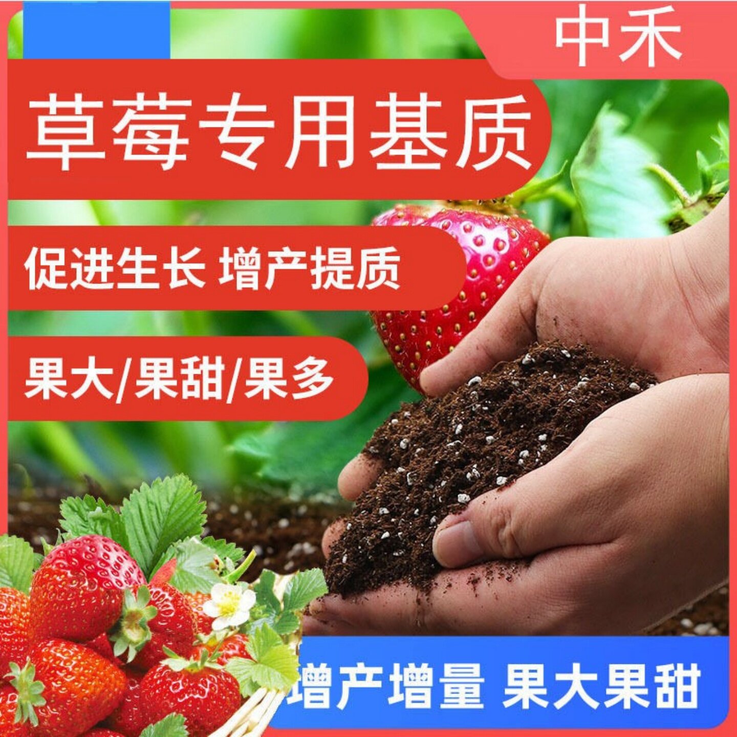 草莓专用土盆栽土草莓腐殖土有机种植土壤草莓育苗扦插通用透气型