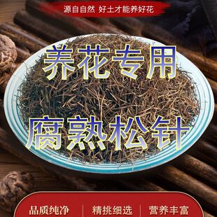 兰花专用松针橡树叶腐叶土多肉君子兰专用养花松针营养腐熟松针土