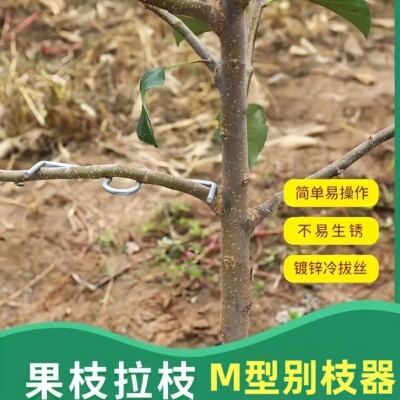 m型拉枝器果树别枝专用W型热镀锌