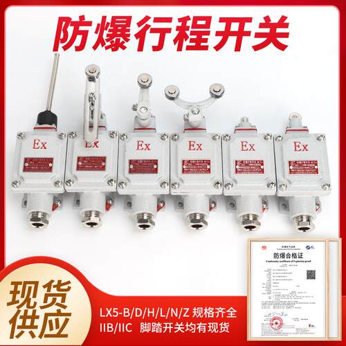 新款防爆行程开关LX5- 15Z/L/B/D/H/N BZX51限位脚踏开关双踏包邮