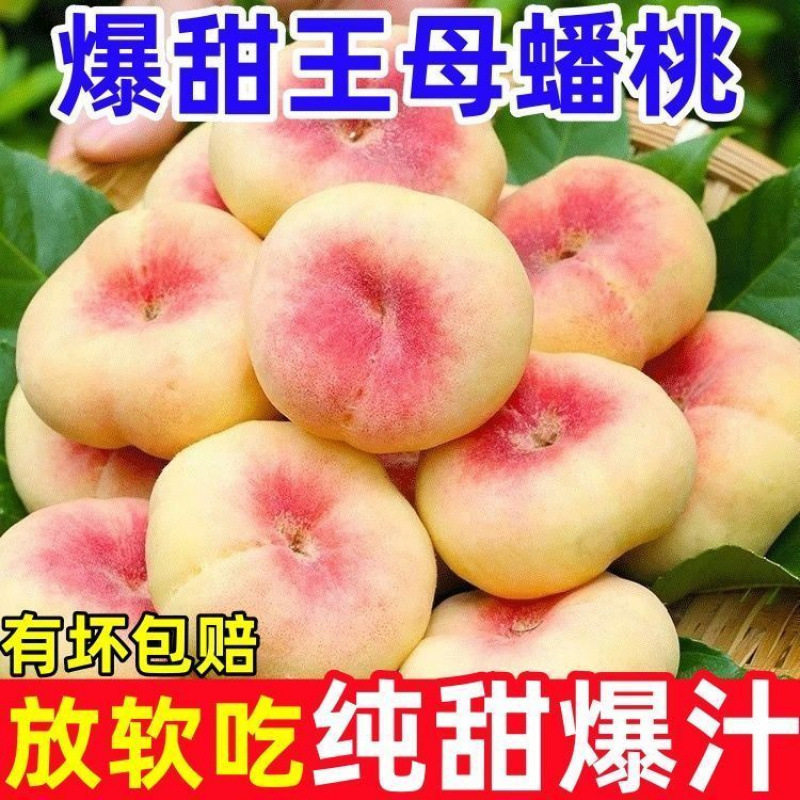 陕西大荔毛蟠桃现货新鲜水果孕妇营养果超甜原生态精选特级大果4J