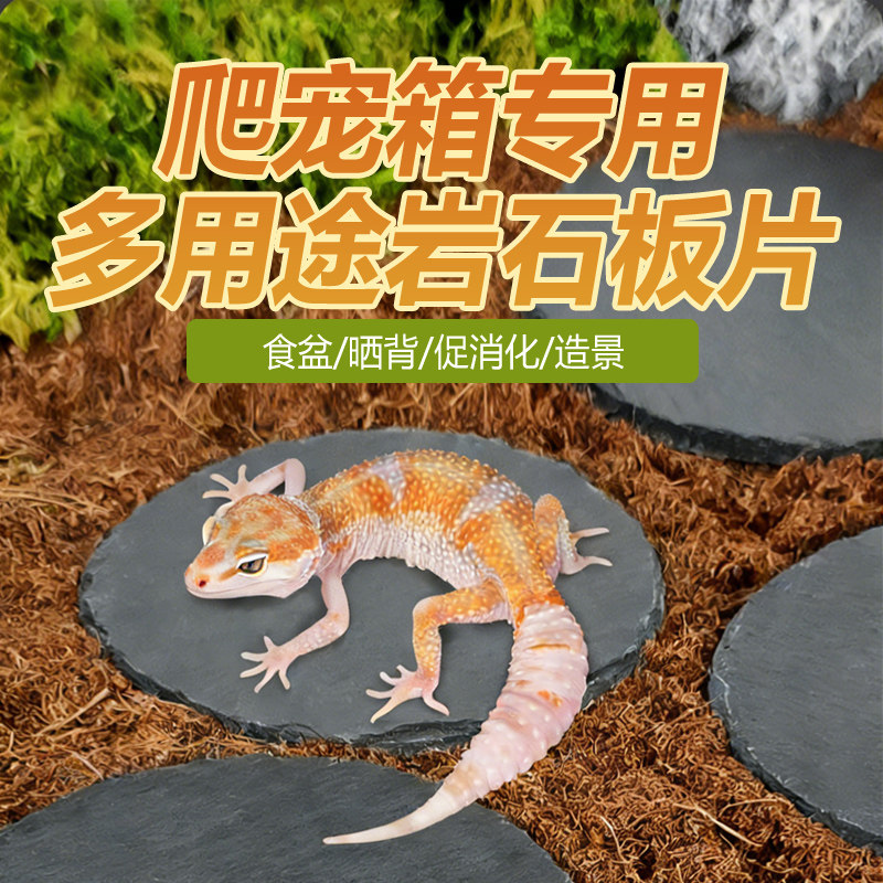 陆龟磨指甲石板垫材天然岩石蜕皮岩板爬宠守宫爬虫恒温箱蜥蜴造景