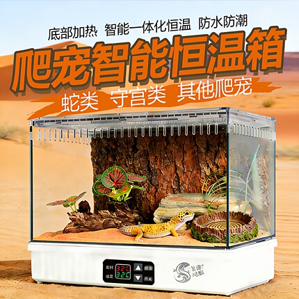 爬宠温控加热恒温饲养箱蜥蜴瘤尾豹纹肥尾守宫蛇蜘蛛角蛙爬虫动物