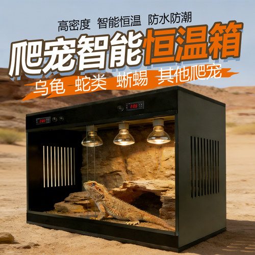 爬宠保温箱蛇乌鬃狮蜥蜥蜴恒温箱