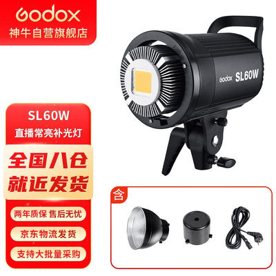 神牛（Godox）SL60W补光灯LED常亮太阳灯影棚拍摄摄影灯儿童服装