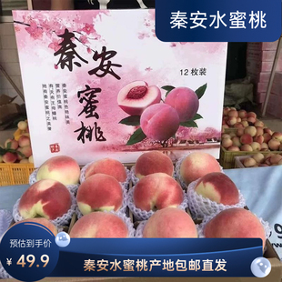 正宗甘肃天水秦安水蜜桃新鲜当季水果天水桃子现摘现发整箱包邮