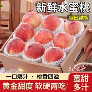 现摘现发正宗秦安水蜜桃新鲜水果现摘孕妇小孩水果礼盒装5斤包邮