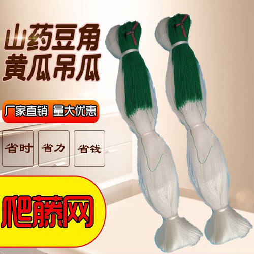 植物爬藤网山药豆角冬瓜甜苦