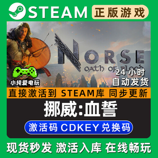 挪威:血誓NORSE: Oath of Blood Steam游戏正版CDK兑换激活码入库