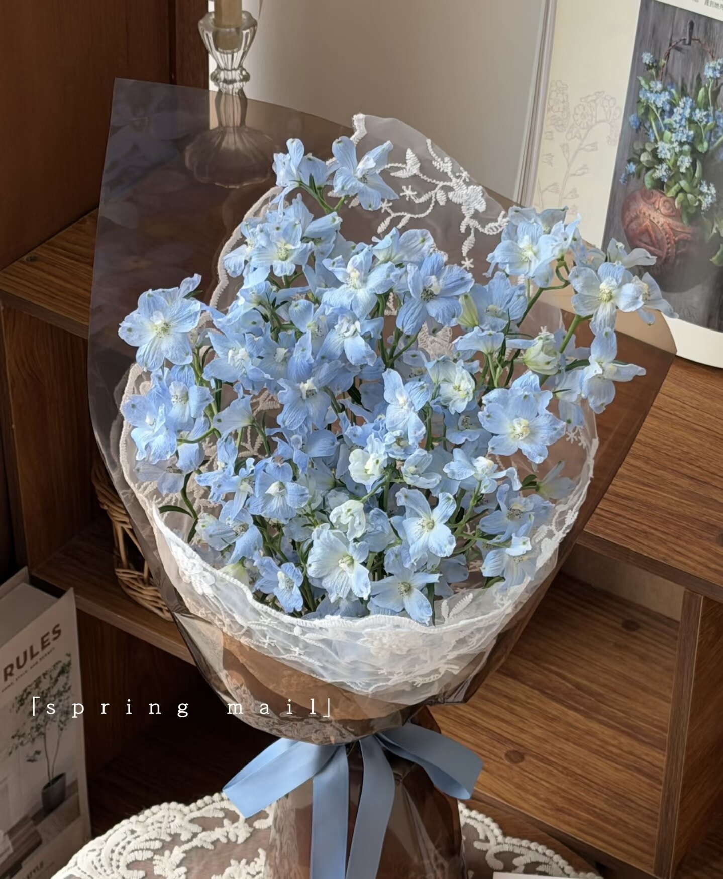 沈星回同款小飞燕蓝色粉色小清新花材家庭水养鲜切花插花基地直发