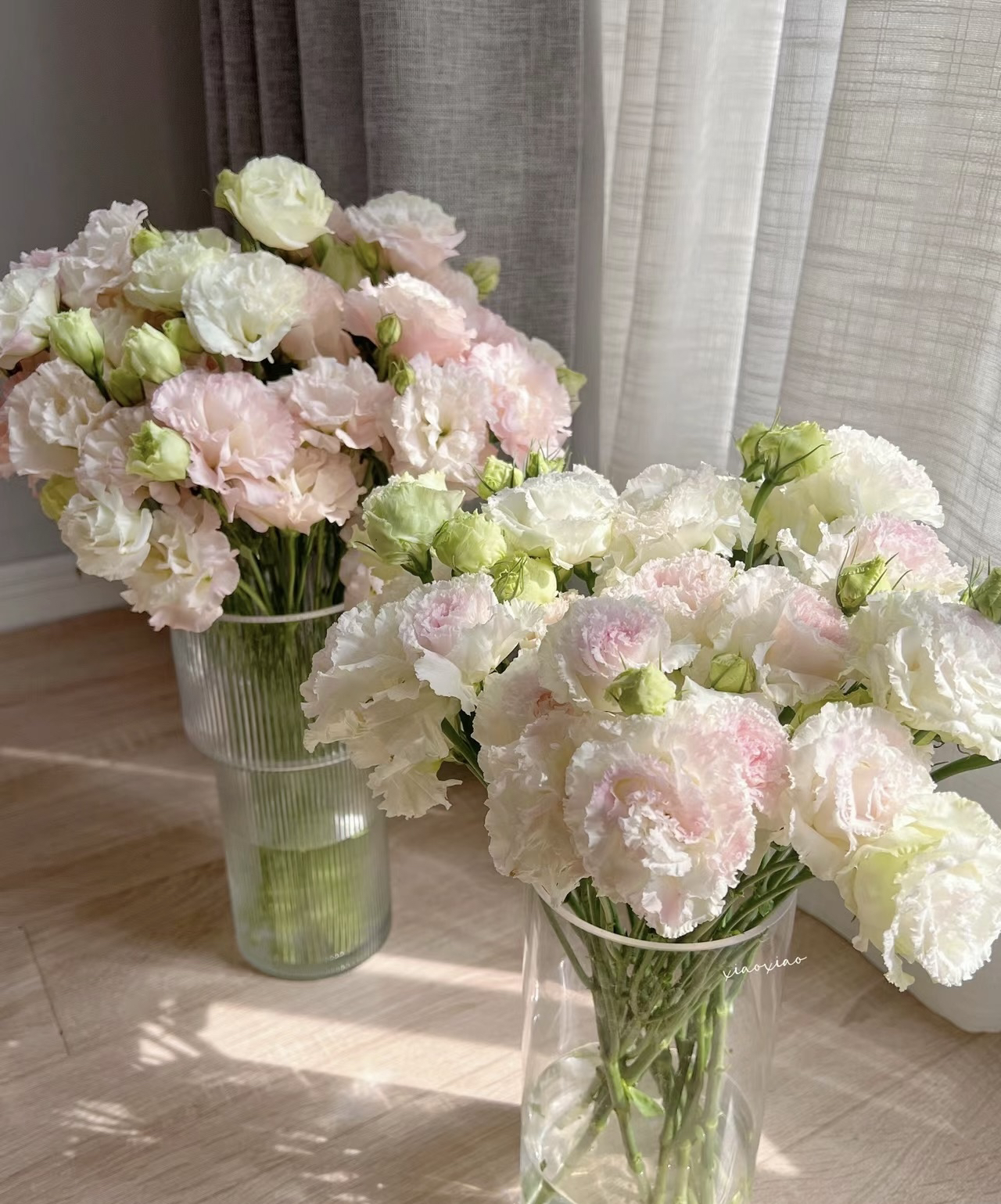 云南基地直发洋桔梗鲜花水养花基地直发家用同城速递插花洋桔梗花