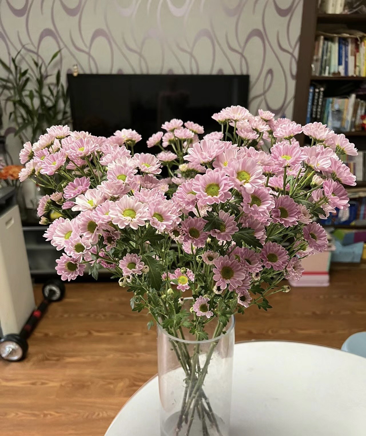 小雏菊鲜花网红鲜切花真花插花云南基地直发送礼家用插花同城速递