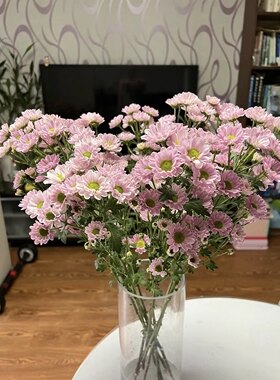 小雏菊鲜花网红鲜切花真花插花云南基地直发送礼家用插花同城速递