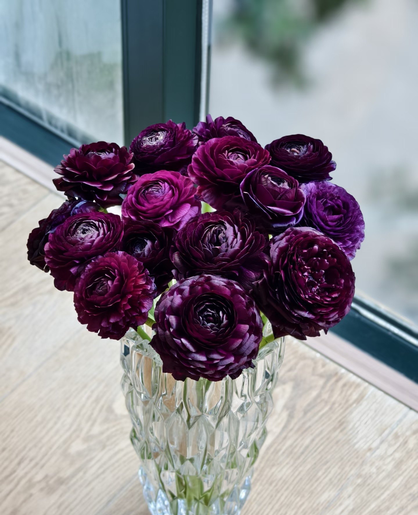 新鲜洋牡丹荷花酥河内粉樱花粉鲜花当季花材家用水养插花云南现发,鲜花速递/花卉仿真/绿植园艺,鲜花速递(同城),淘宝优惠券,粉丝福利购,淘宝优惠卷