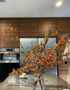 火棘果火把果鲜切枝条室内家庭插花喜庆装饰吉祥果云南基地直发