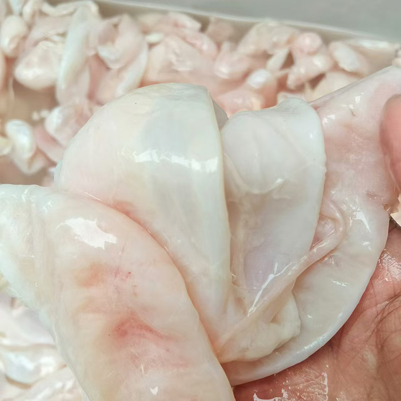 鲢鱼大内泡泡胖头鱼鱼泡大头鱼鱼泡鱼肚鱼杂酒店供应,水产肉类/新鲜蔬果/熟食,淡水鱼类,淘宝优惠券,粉丝福利购,淘宝优惠卷