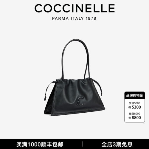 可奇奈尔DULSE女式背提包礼物