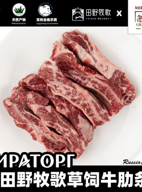 高端草饲牛肋条卤炖佳品
