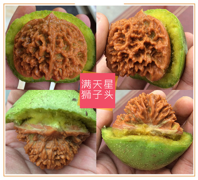 赌青皮四座楼磨盘把玩