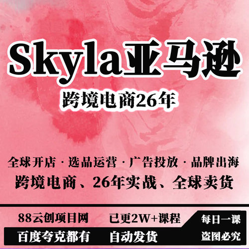 Skyla亚马逊跨境电商26年全球开店选品运营广告投放品牌出海实战