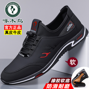 啄木鸟男鞋新款男士休闲皮鞋真皮软底运动鞋透气大码鞋防滑驾车鞋