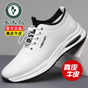 啄木鸟男鞋新款真皮男士休闲皮鞋软底青年运动鞋男防滑透气小白鞋
