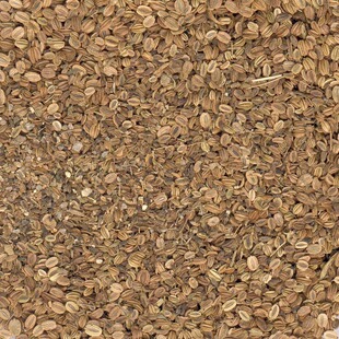 蛇床子精油 超临界CO2提取 10ml