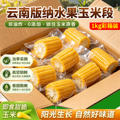 云南版纳水果玉米段开袋即食真空锁鲜健康早餐低脂健康粗粮彩箱装