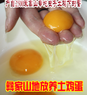 彝家山地放养土鸡蛋专吃虫子零添加新鲜佳品纯粮食土鸡蛋30枚 包邮