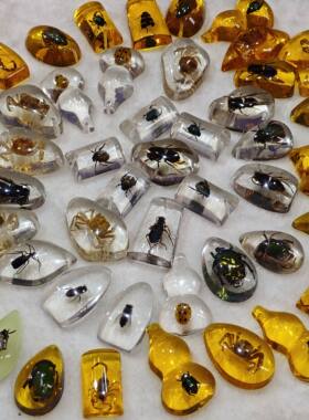 真昆虫琥珀标本儿童挖掘考古盲盒虫珀配件学生教学挂件六一礼物