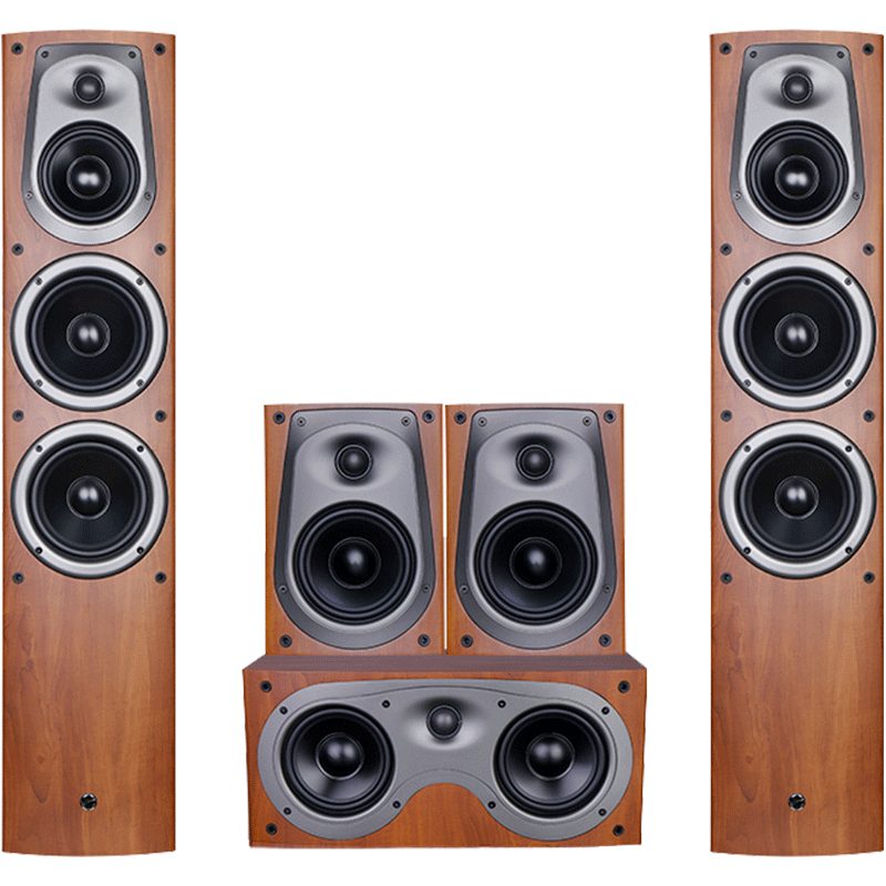 Hivi/惠威 D500家庭影院5.0家用客厅音响套装木质hif