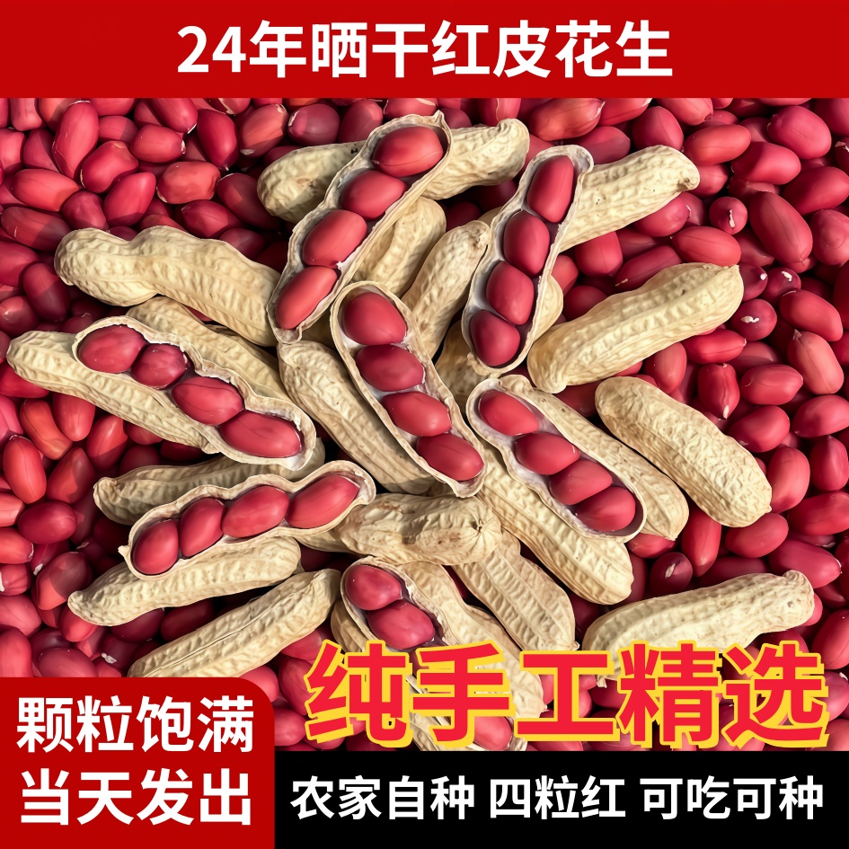 东北红皮花生2024新货红衣干货