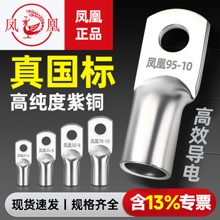 凤凰JG铜鼻子国标加厚线耳船用接头8/10/16/25/35/50/70/-300平方