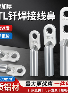 DTLQ钎焊双孔铜铝接线端子