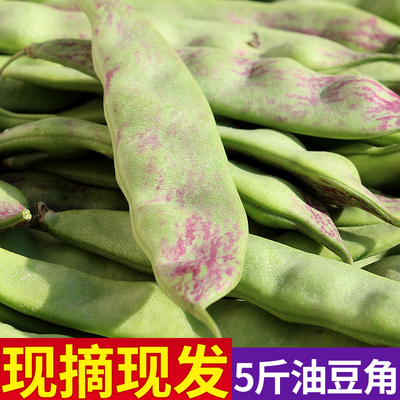蔬菜油豆角食用农产品东北油豆角