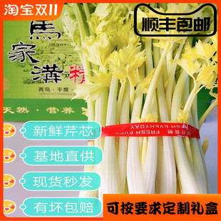 马家沟芹菜平度大叶黄空心玻璃脆嫩芯新鲜蔬菜山东青岛特产2包邮