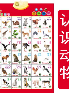 智力英语音标有声挂图小学生初中生48个国际音标字母发音口型表