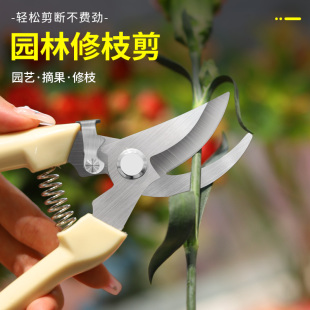 果树修枝粗枝剪刀园艺园林修花枝剪家用强力花剪子神器剪枝剪刀