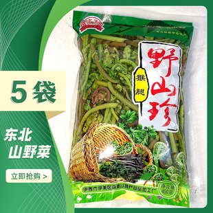 东北特产伊春森源野山菜猴腿菜 保鲜山野菜猴腿 猴腿 山芹菜
