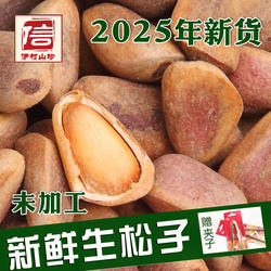 2025年伊春新鲜生松子大颗粒东北红松子不开口原味未加工野生松子