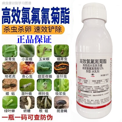 功乐10%高效氯氟氰菊脂