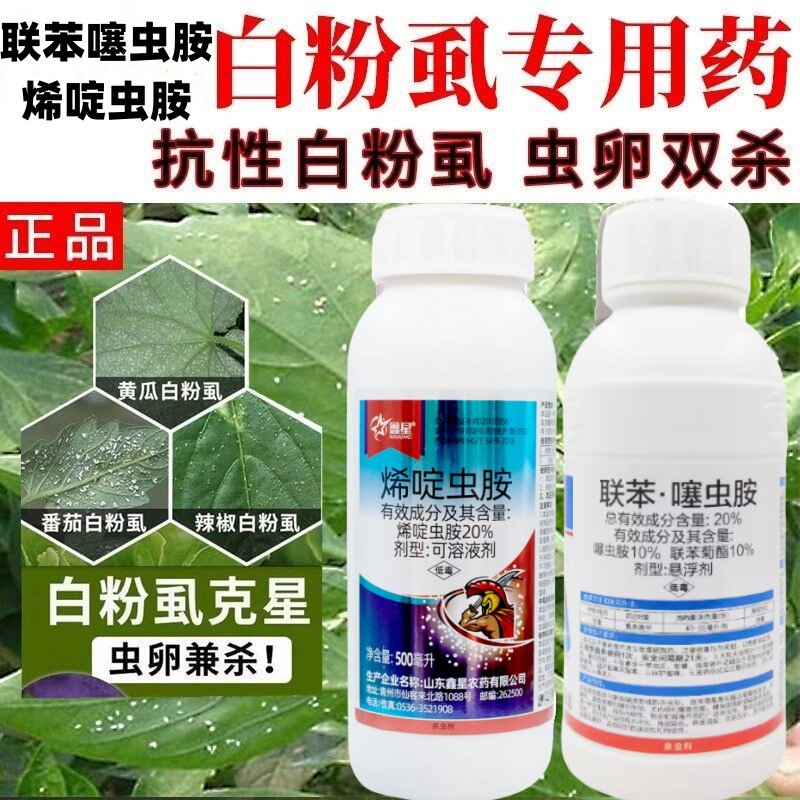 白粉虱专用药烯啶虫胺联苯呋虫胺西红柿茄子辣椒蚜虫白粉虱药