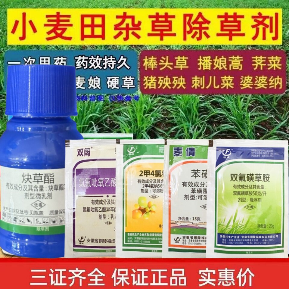 小麦除草剂苯磺隆双氟磺草胺炔草酯燕雀麦麦篙荠菜野麦田杂草专除