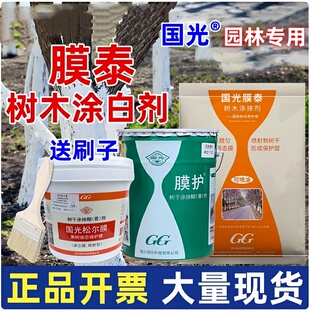 树干涂白剂国光膜泰大树抗寒防冻防虫杀菌刷树果树园林树木糊涂膜