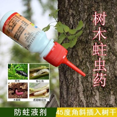 树崇净树干虫净树干蛀虫防蛀液